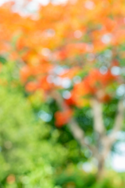 Abstract blurred of the tree, red and orange flowers. Premium Photo