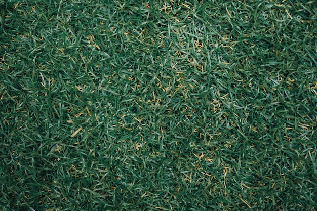 Premium Photo | Abstract grass texture background