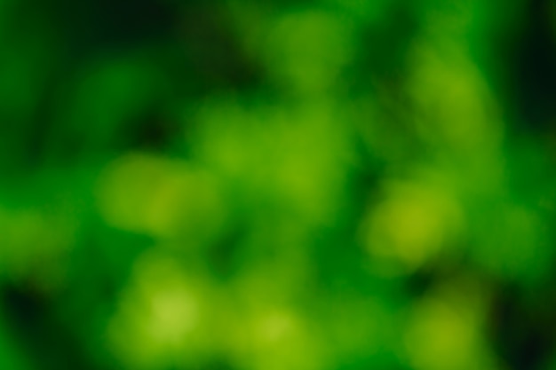 Premium Photo | Abstract green nature