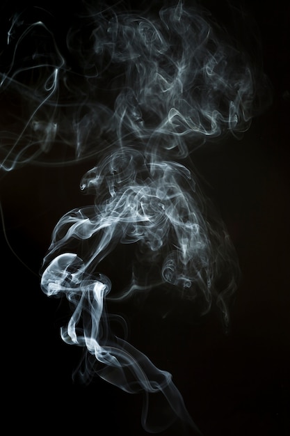 Free Photo | Abstract silhouette of smoke on black background