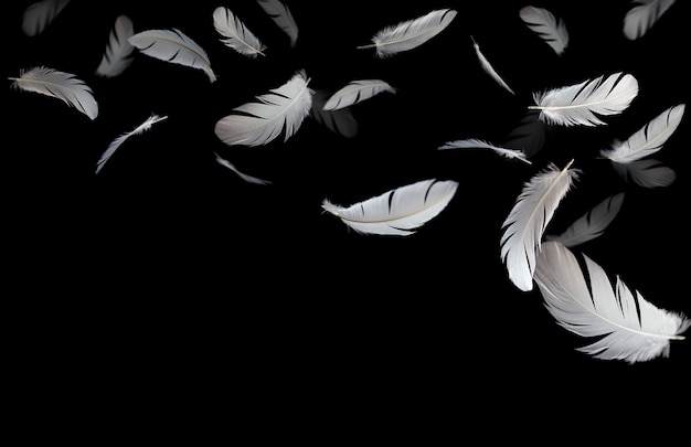 Abstract, white feathers bird floating in the dark. Premium Photo