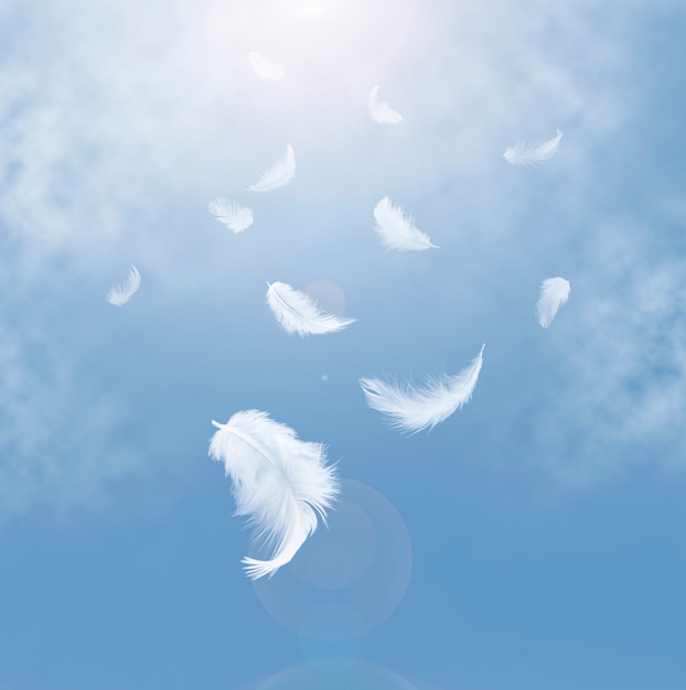 抽象的な白い羽が空に落ちる プレミアム写真