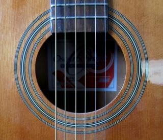 Acoustic Guitar Free Downloads