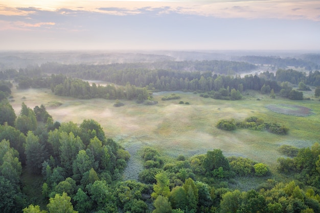 Premium Photo | Aerial photo of natural reserve naliboki forest, belarus