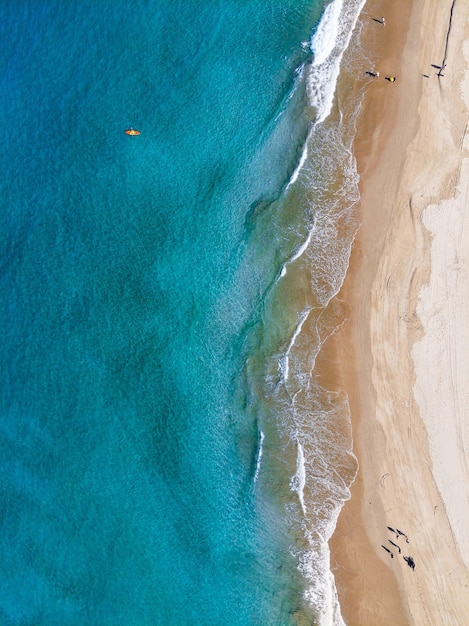 Free Photo | Aerial shot of people enjoying the beach on a sunny day