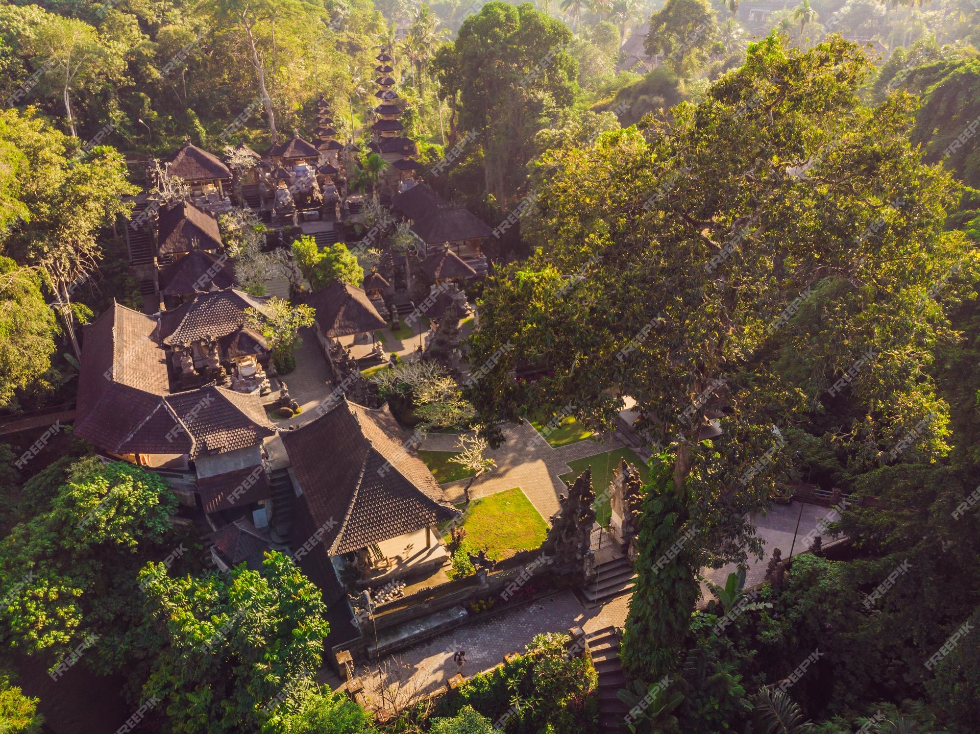 Premium Photo | Aerial shot of the pura gunung lebah temple in ubud on ...