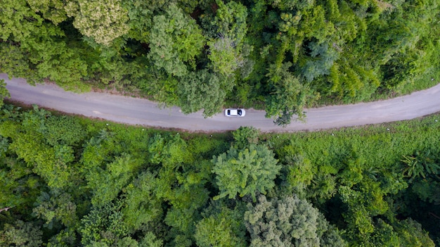 Premium Photo Aerial Top View Car Driving Through The Forest On