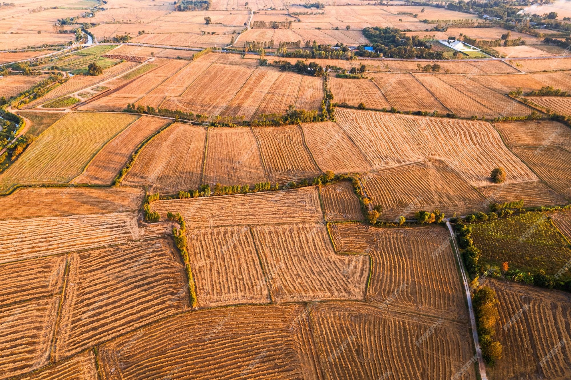 Premium Photo Aerial View Of Agricultural Barren Fields With premium-photo-aerial-view-of-agricultural-barren-fields-with