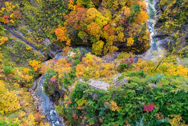 Premium Photo | Aerial view of autumn fall river landscape