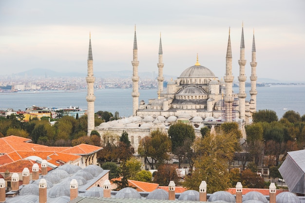 Premium Photo | Aerial view of blue mosque in istanbul