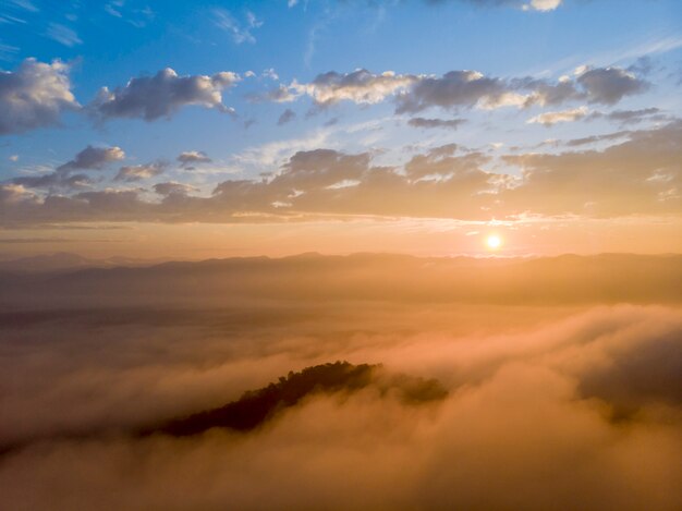 Premium Photo Aerial View Forest In Morning Fog Mist Breathing Mountains Sunshine On The Morning Mist