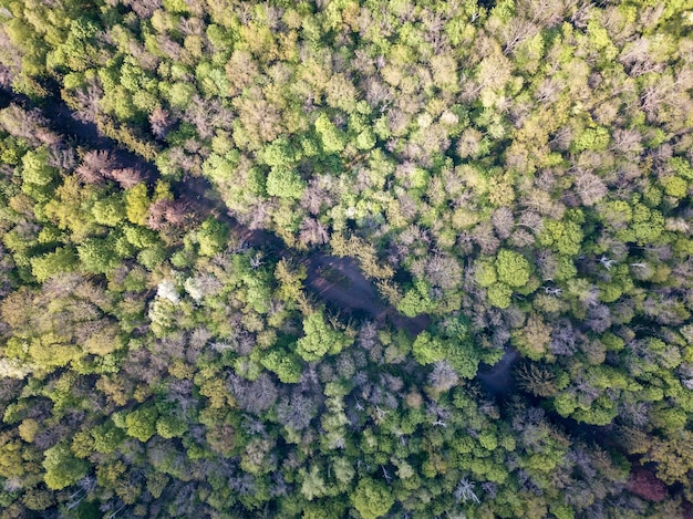 Premium Photo | Aerial view from the drone on a dirt road that runs ...