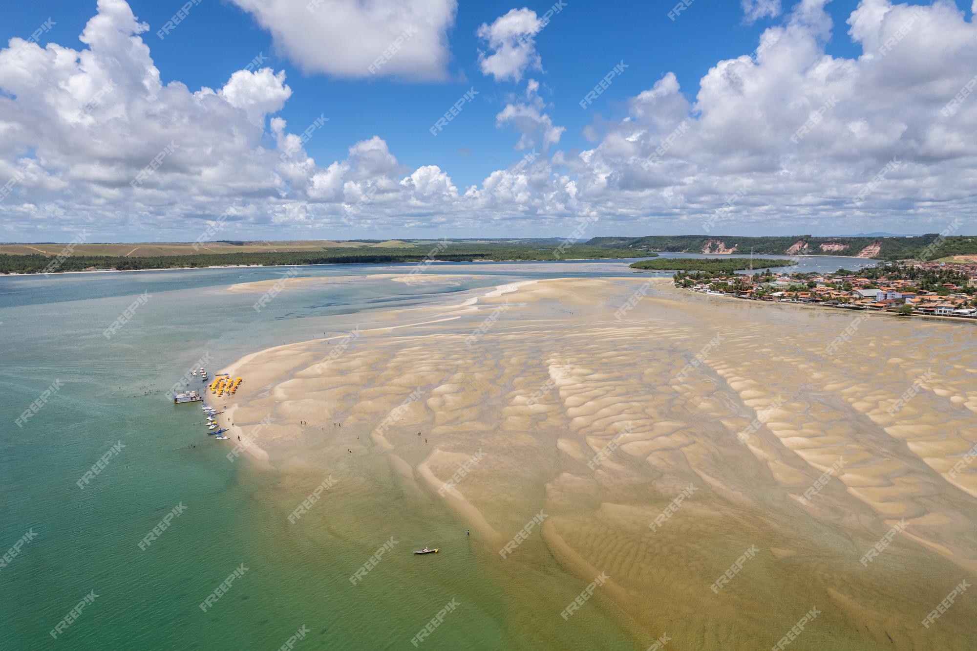 Premium Photo | Aerial view of gunga beach or 