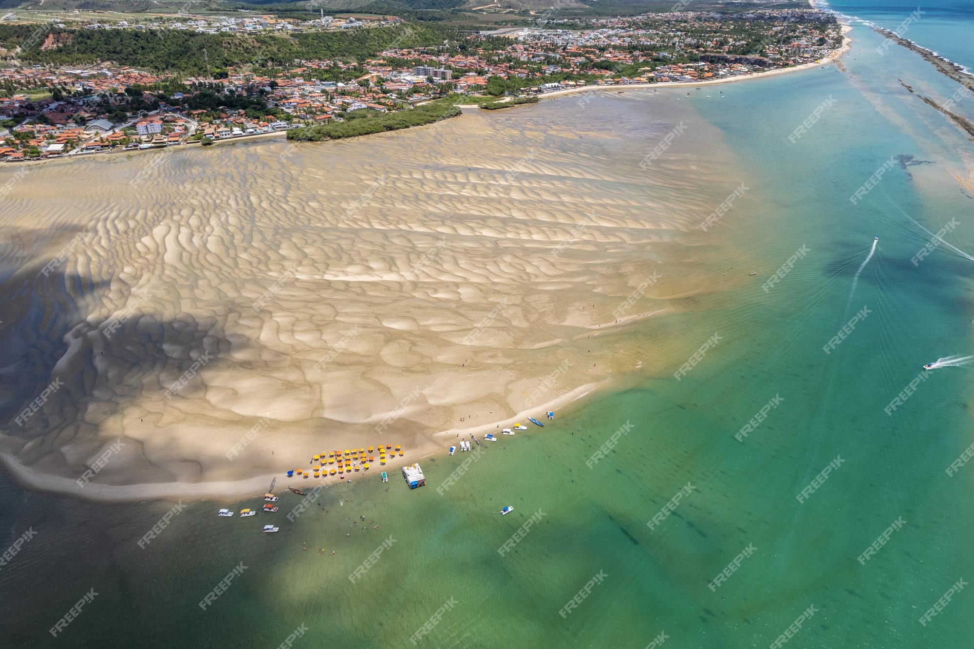 Premium Photo | Aerial view of gunga beach or 