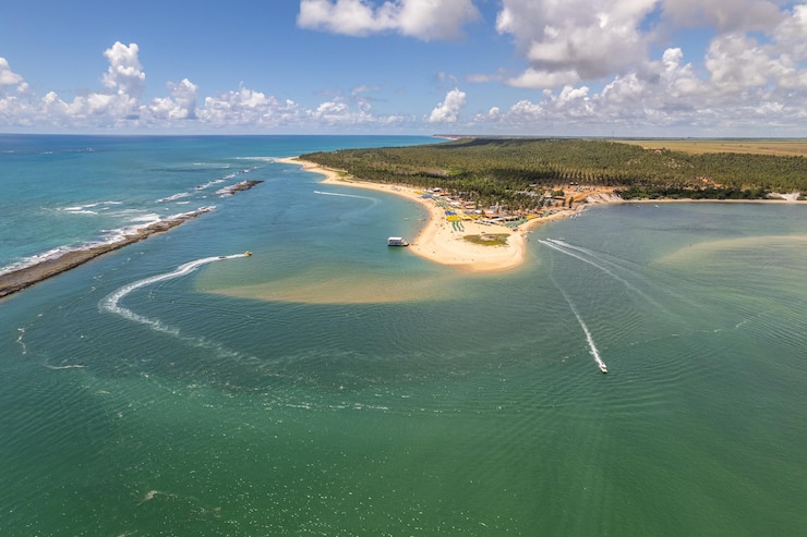 Premium Photo | Aerial view of gunga beach or 