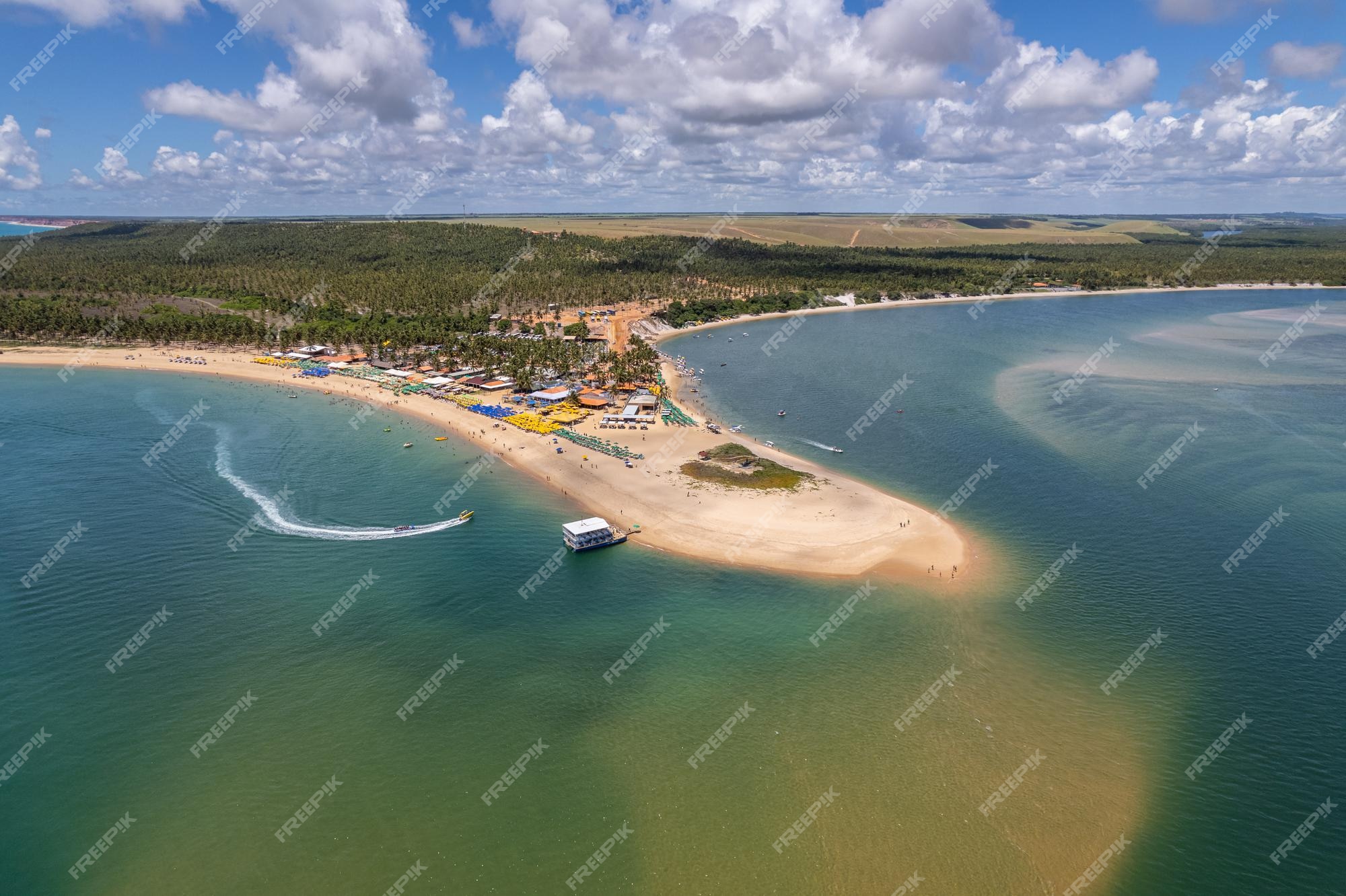 Premium Photo | Aerial view of gunga beach or 