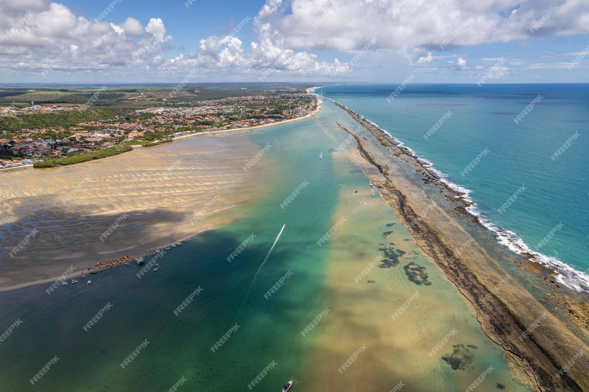 Premium Photo | Aerial view of gunga beach or 