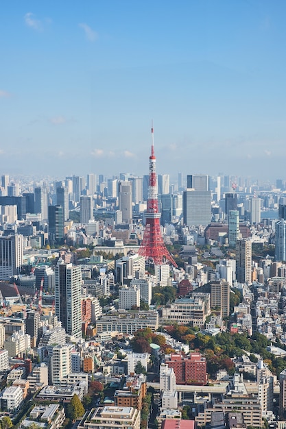 六本木ヒルズからの東京タワーと東京の街並みを一望できます プレミアム写真