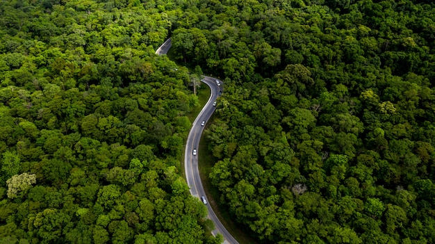 車 林道を通って行く道と熱帯の木の森の空撮 プレミアム写真