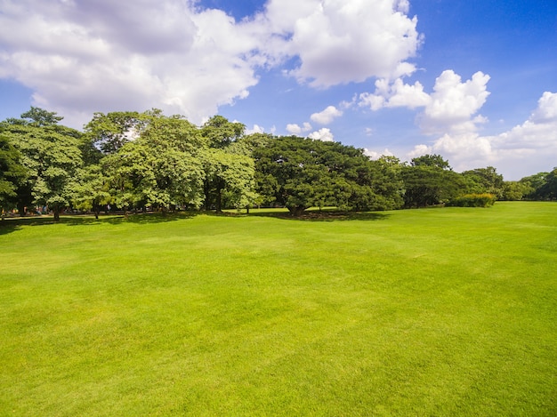 Premium Photo | Aerial view of park