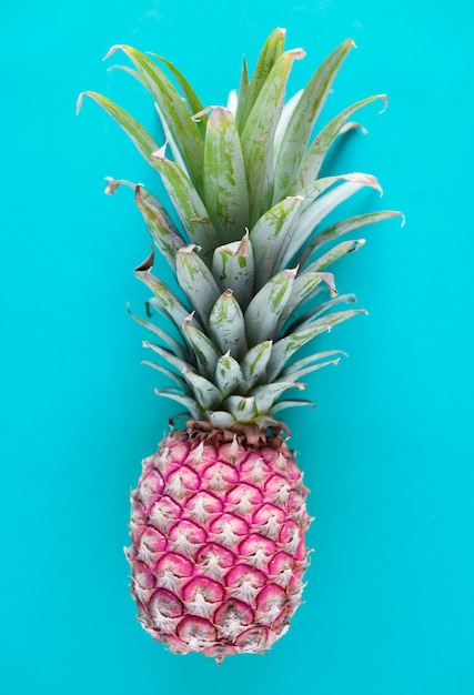 Free Photo | Aerial view of pineapple blue background