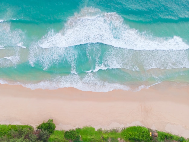 空撮トップビュー白い砂のヤシの木と海の美しい局所ビーチ 上から見た空のきれいなビーチ 上から空のビーチを砕く波 プレミアム写真