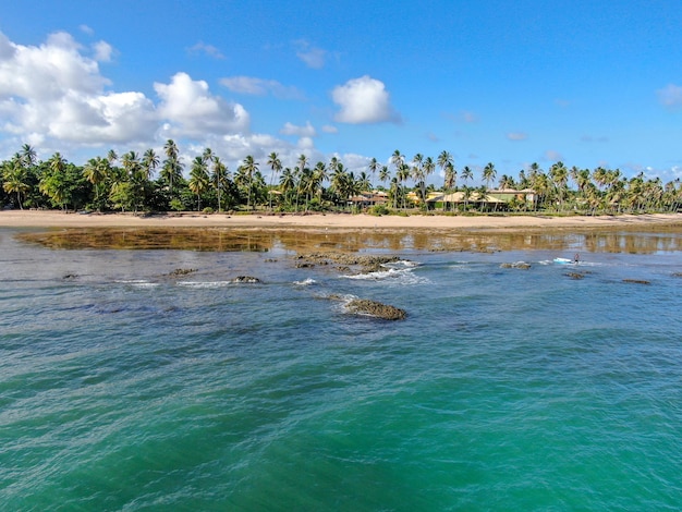 Premium Photo | Aerial view of tropical white sand beach palm trees and ...