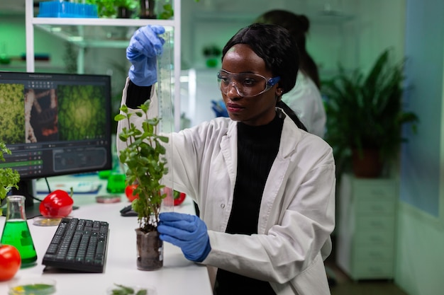 Premium Photo | African American Biochemist Scientist Measuring Sapling ...