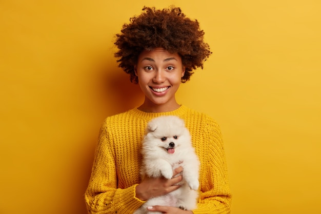 アフリカ系アメリカ人の女性は ポメラニアンスピッツの品種の犬を保持し ミニチュアふわふわペットが好きで 鮮やかな黄色の背景に対してかわいい動物とポーズをとる 無料の写真