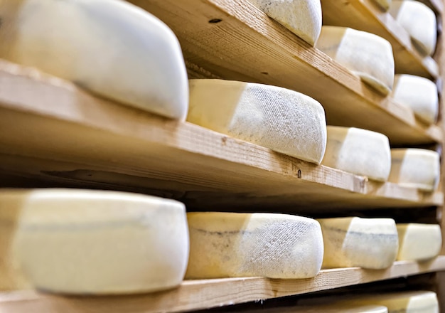 Premium Photo | Aging cheese on wooden shelves at maturing cellar in ...