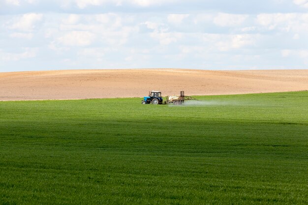 Premium Photo | Agricultural field