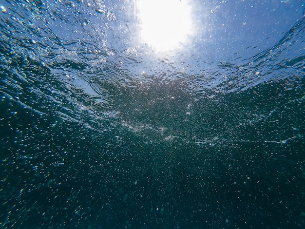 Фото Под Водой В Море