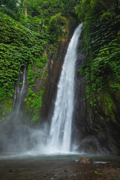 Premium Photo | Air Terjun Munduk Waterfall. Bali Island, Indonesia.