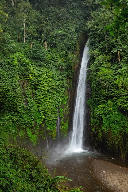 Premium Photo  Air terjun munduk waterfall. bali island, indonesia.