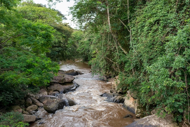 Premium Photo | Aiuruoca river minas gerais brazil tropical rainforest