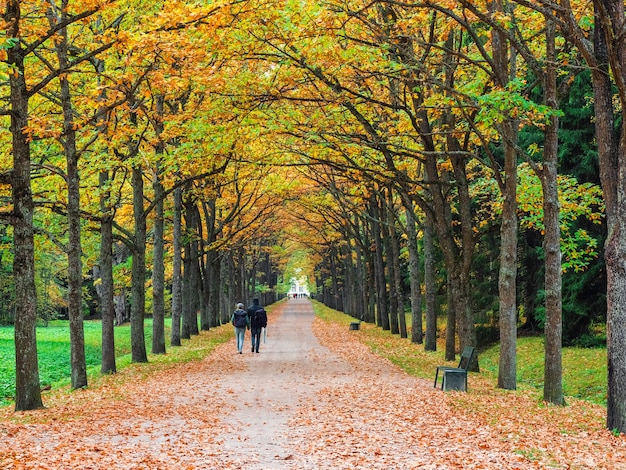 Павловск Осень Фото Парка