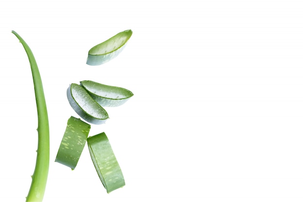 Aloe Vera Cut Into Pieces Premium Photo