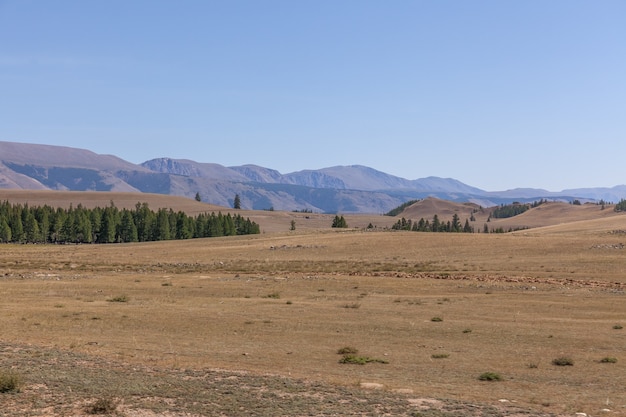 Premium Photo | Altai, altay mountains, are a mountain range in central ...