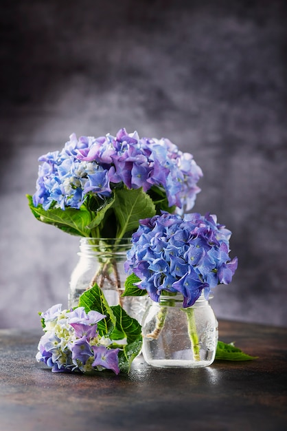 Premium Photo Amazing Blue Hydrangea Flowers