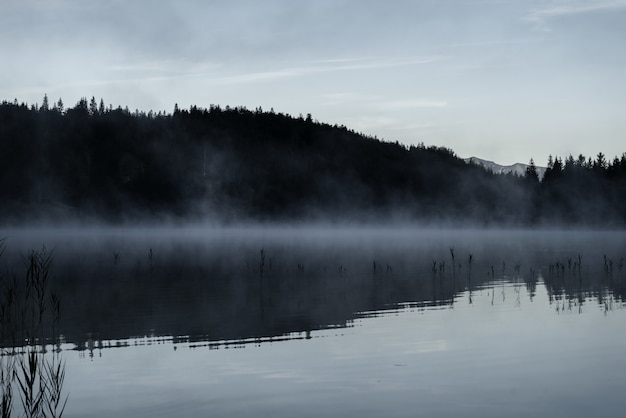 ドイツ バイエルン州のフェルヒェン湖の素晴らしいショット 無料の写真