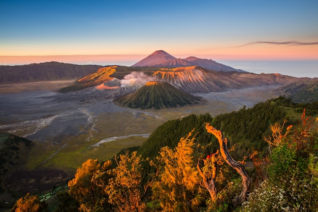 Premium Photo | Amazing Sunrise In Mount Bromo