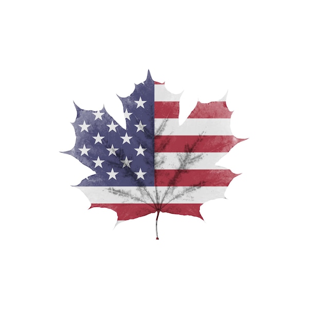 Premium Photo | America's flag on a leaf is isolated on a white background