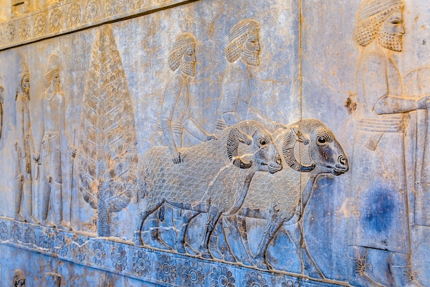  Ancient persian carving in persepolis - iran
