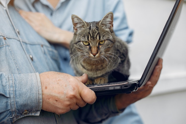 Angry cat on a laptop | Free Photo