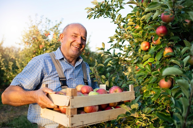 Free Photo | Apple farmer in fruit orchard