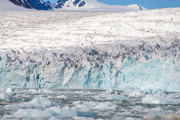 Premium Photo | Arctic landscape