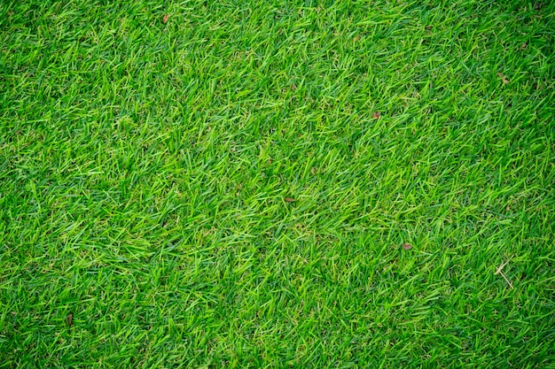 Premium Photo | Artificial green grass