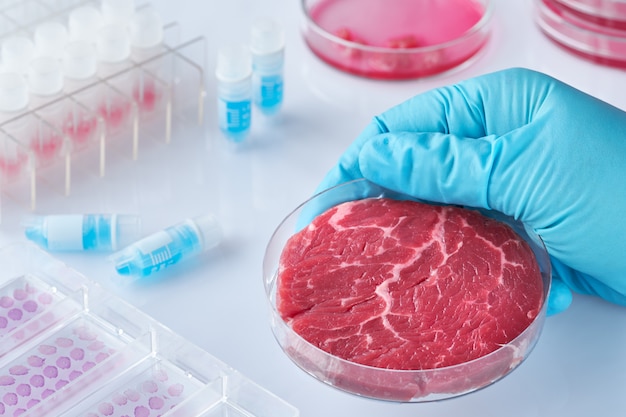 Premium Photo | Artificial meat sample in plastic dish in laboratory or ...