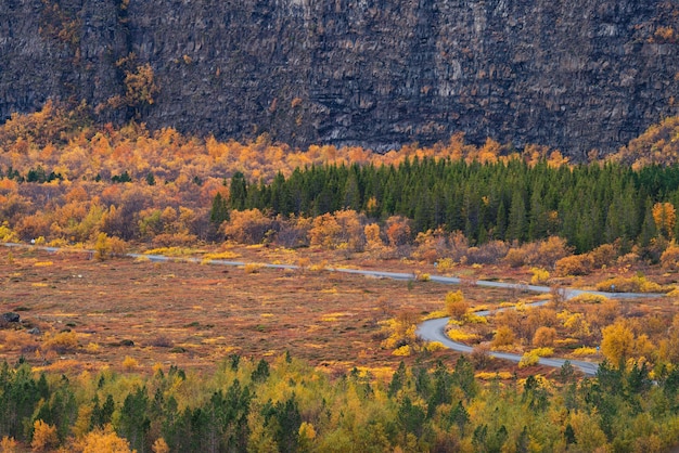 Premium Photo | Asbyrgi deep canyon and curves road on autumn in ...