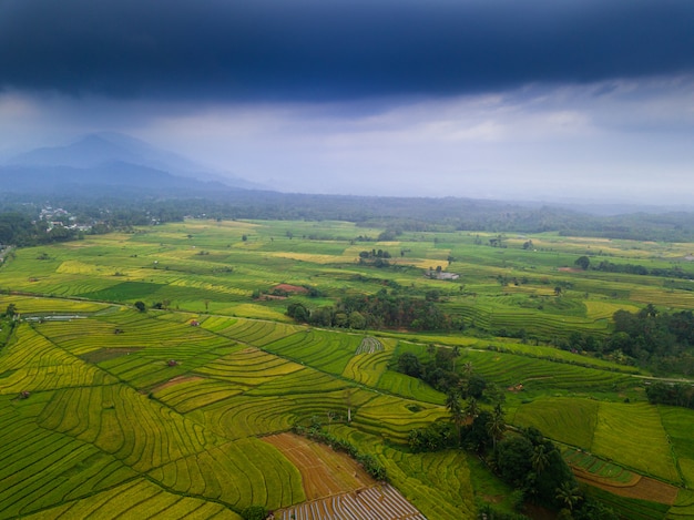 Asia beauty landscape aerial view in the morning indonesia 